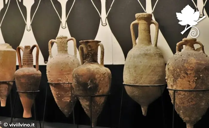 Anfore di vino dal museo del vino di Torgiano